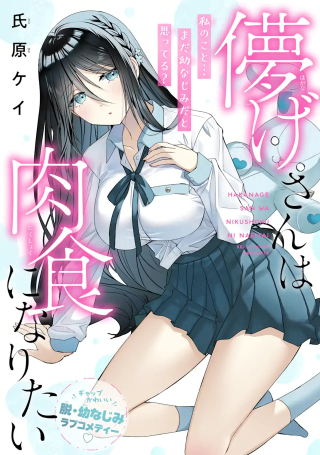 ワンピース