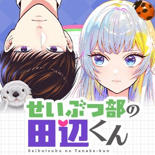 ワンピース