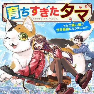 ワンピース